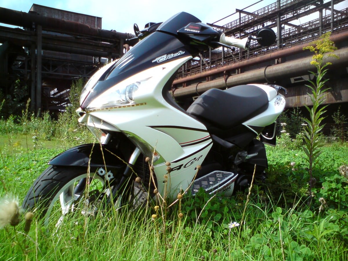 Der Scooter