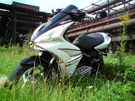 Der Scooter
