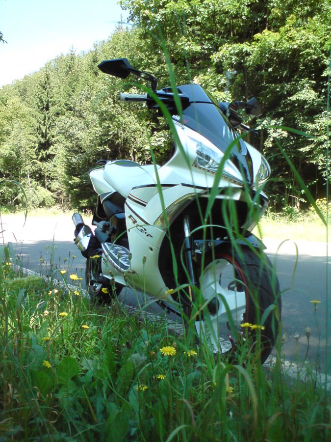 Der Scooter