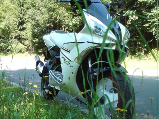 Der Scooter