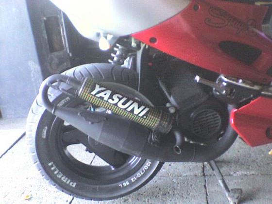 yasuni r