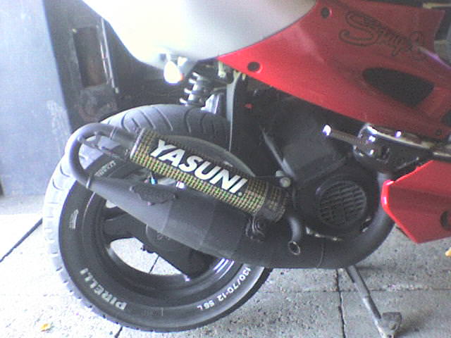 yasuni r