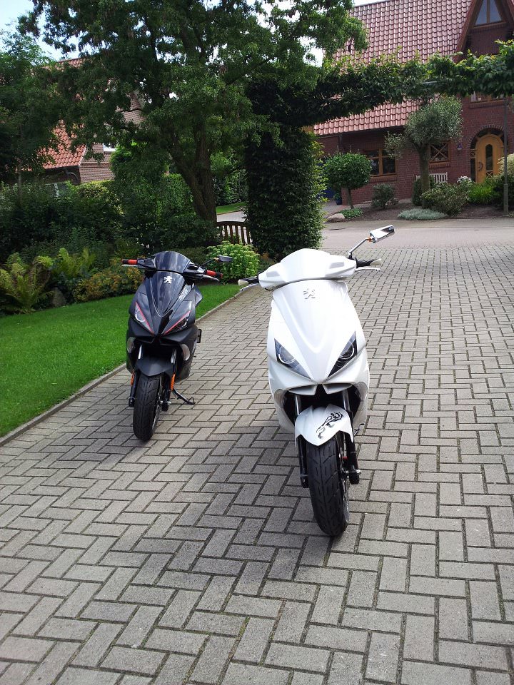 black & white ♥