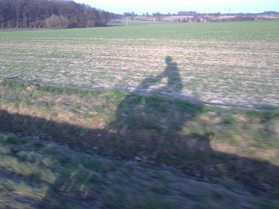 Schatten