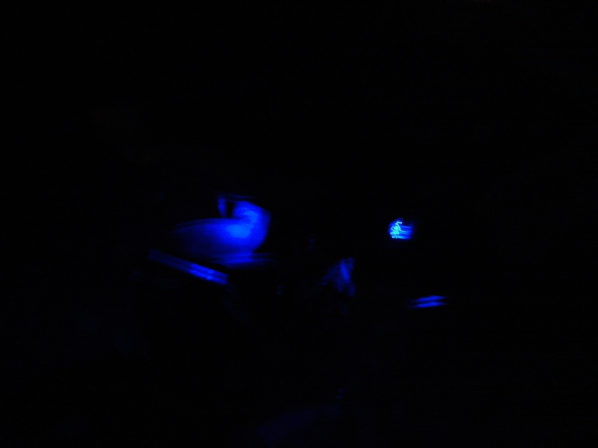 Foto0925tt