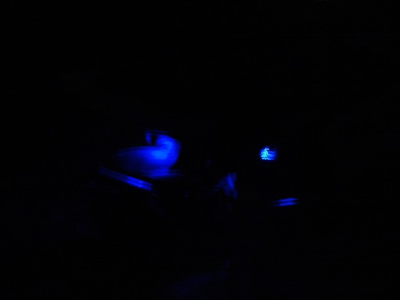 Foto0925tt