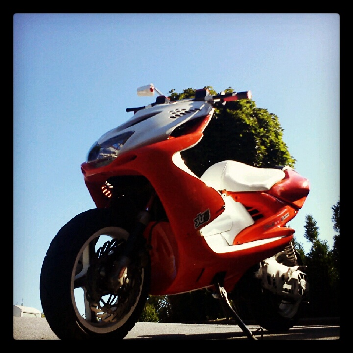 Roxy ♥