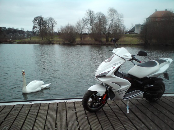 Scooter+derSchwan