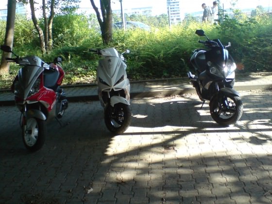 sind die zwei im forum