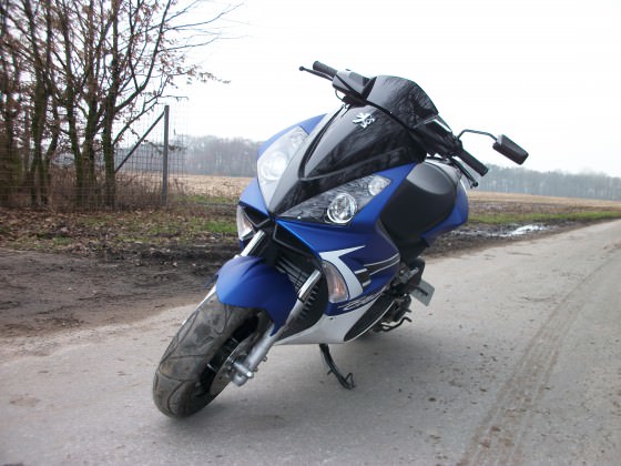 MD000313