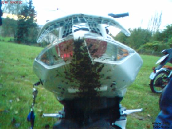 Mal wieder neue Bilder gemacht ( HFA,Bullen,Burnout,LED´s )