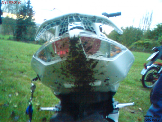 Mal wieder neue Bilder gemacht ( HFA,Bullen,Burnout,LED´s )