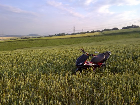 Mal rumgefahrn :p