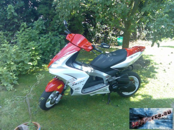 aktuelle pics ...neu bb und spritzschutz ab usw.....