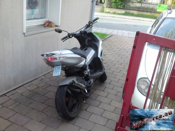 Endlich wieder mein Downi dran