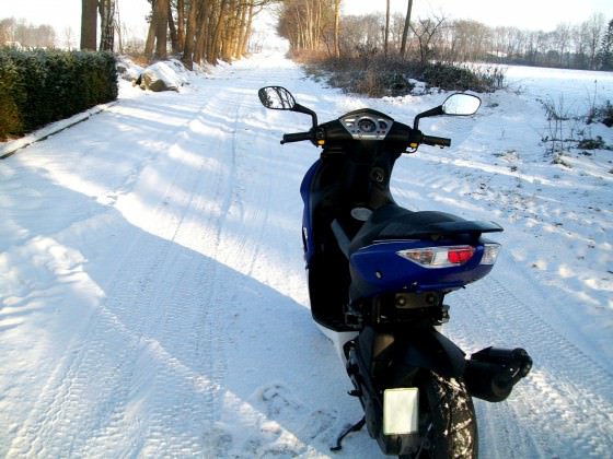 Dummer Winter...
