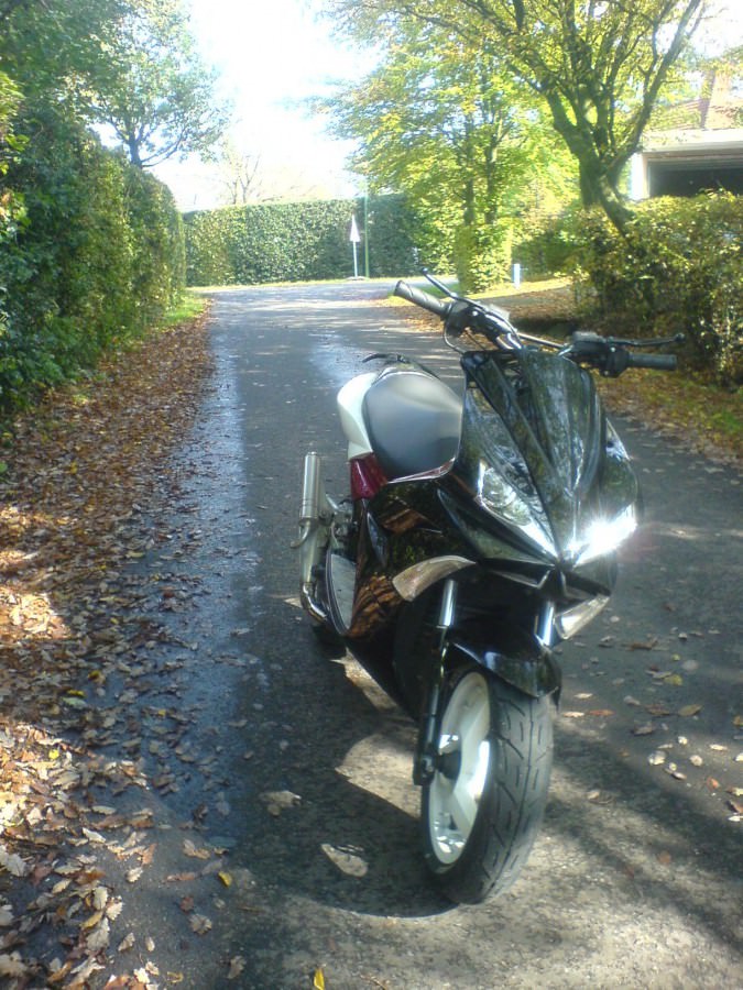 Herbst ♥