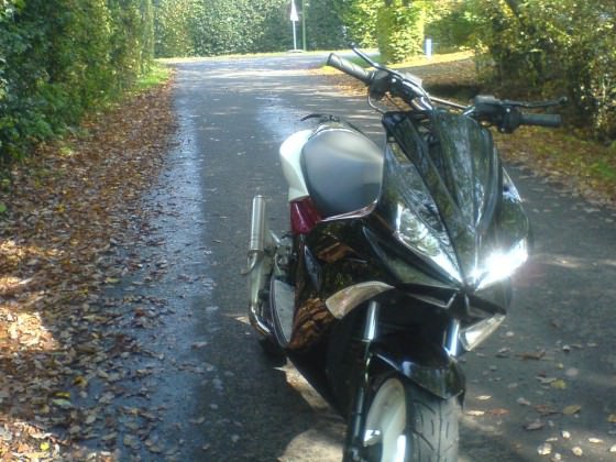 Herbst ♥
