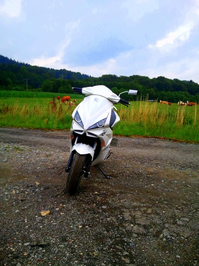muuh :D