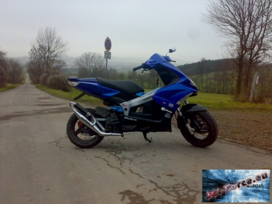 ca. 10 monate alt :)