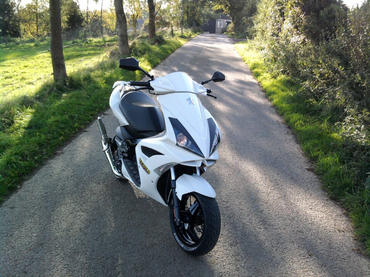 meine Lady :>
