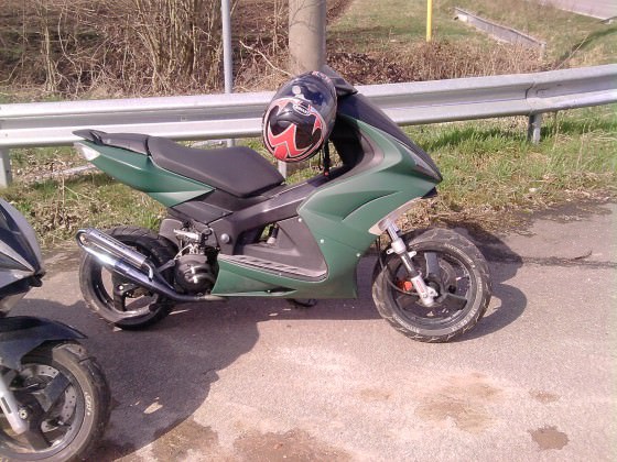 neue bilder