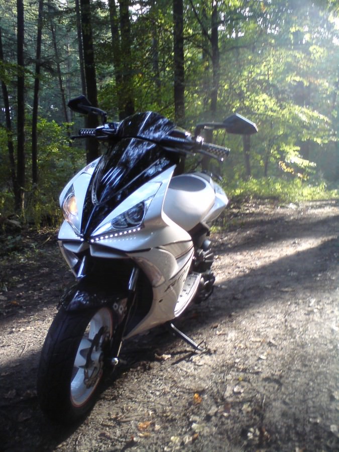 Der Scooter