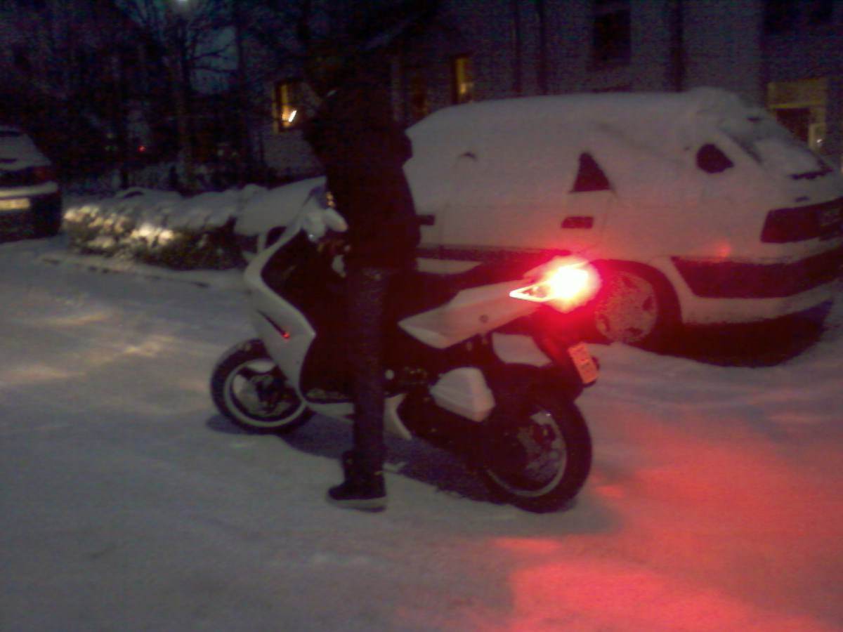 Burny im schnee