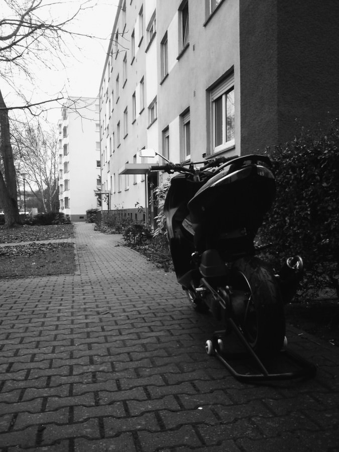 Love my Blackbitch ♥