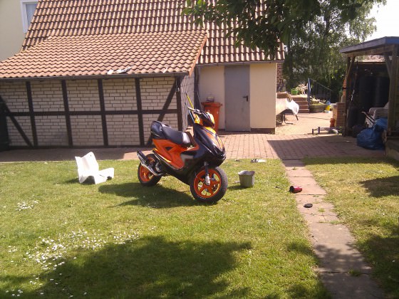 IMAG0239