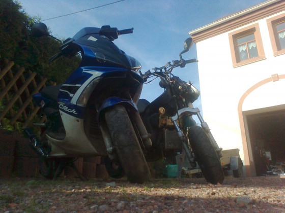 Foto0248