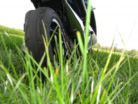 0NE L0VE 2O11'' <3  !!!!