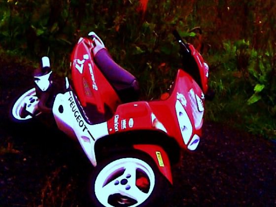 speedy