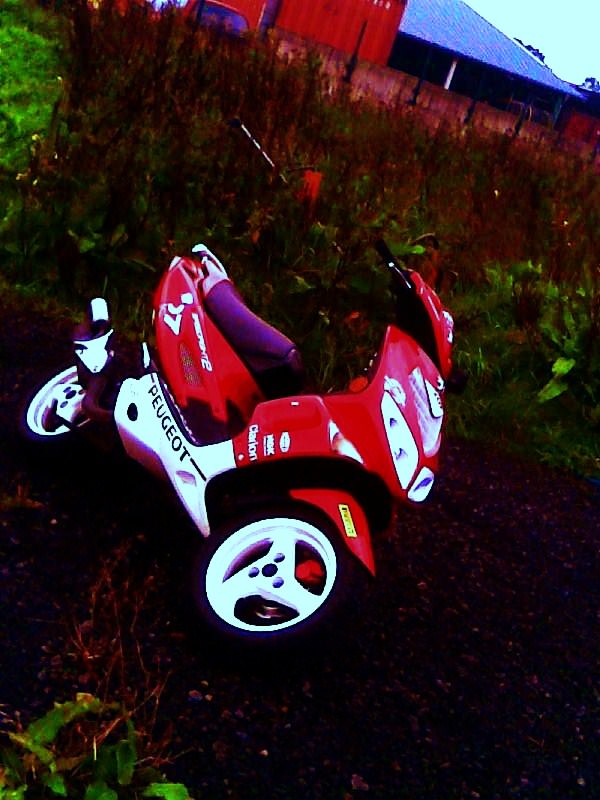 speedy