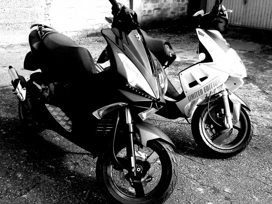 IMAG0237