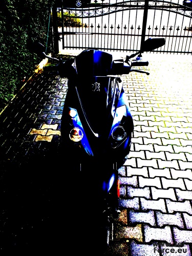 Jetty