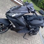 Mein neuer jetty 3 wochen alt =)