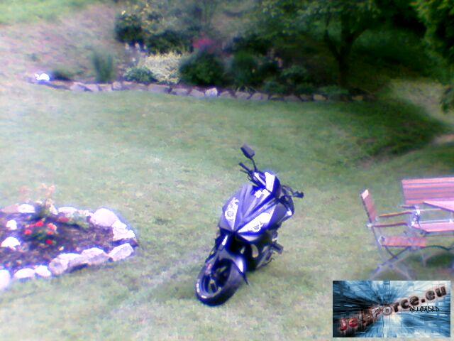 Jo im Garten meiner Oma XD