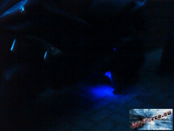 The Light in the Dark