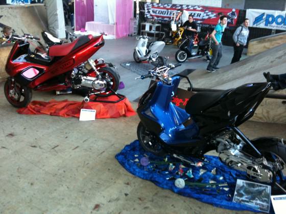 CS 2011