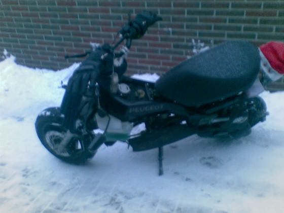 Bild003