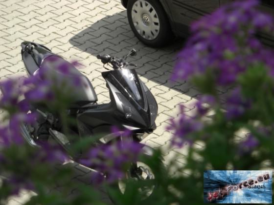 so paar neue bilder ...