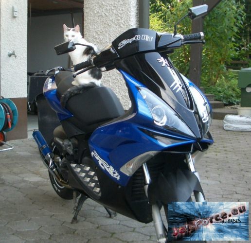 Scootertuning Cat