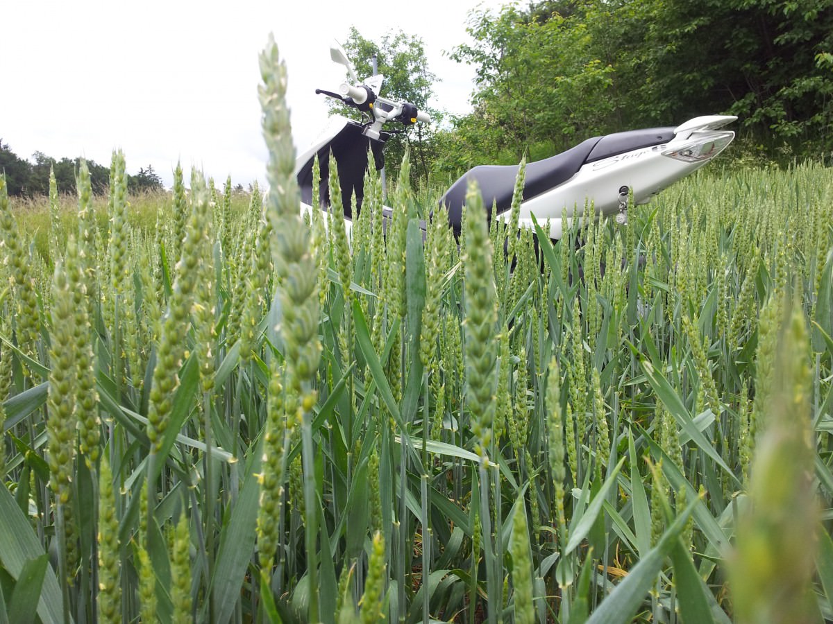 Bisschen im Feld geheizt :D