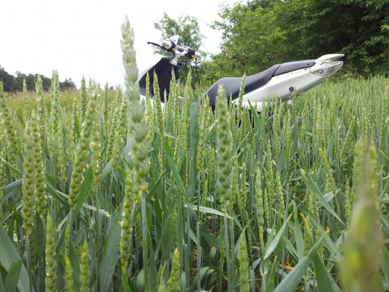 Bisschen im Feld geheizt :D