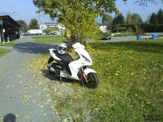 schöner herbsttag