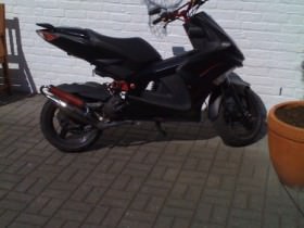 esd gelackt