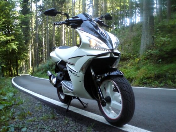 Der Scooter