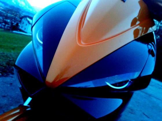 orangeblack jetts
