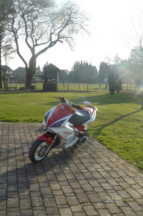 Paar Bilder ;)